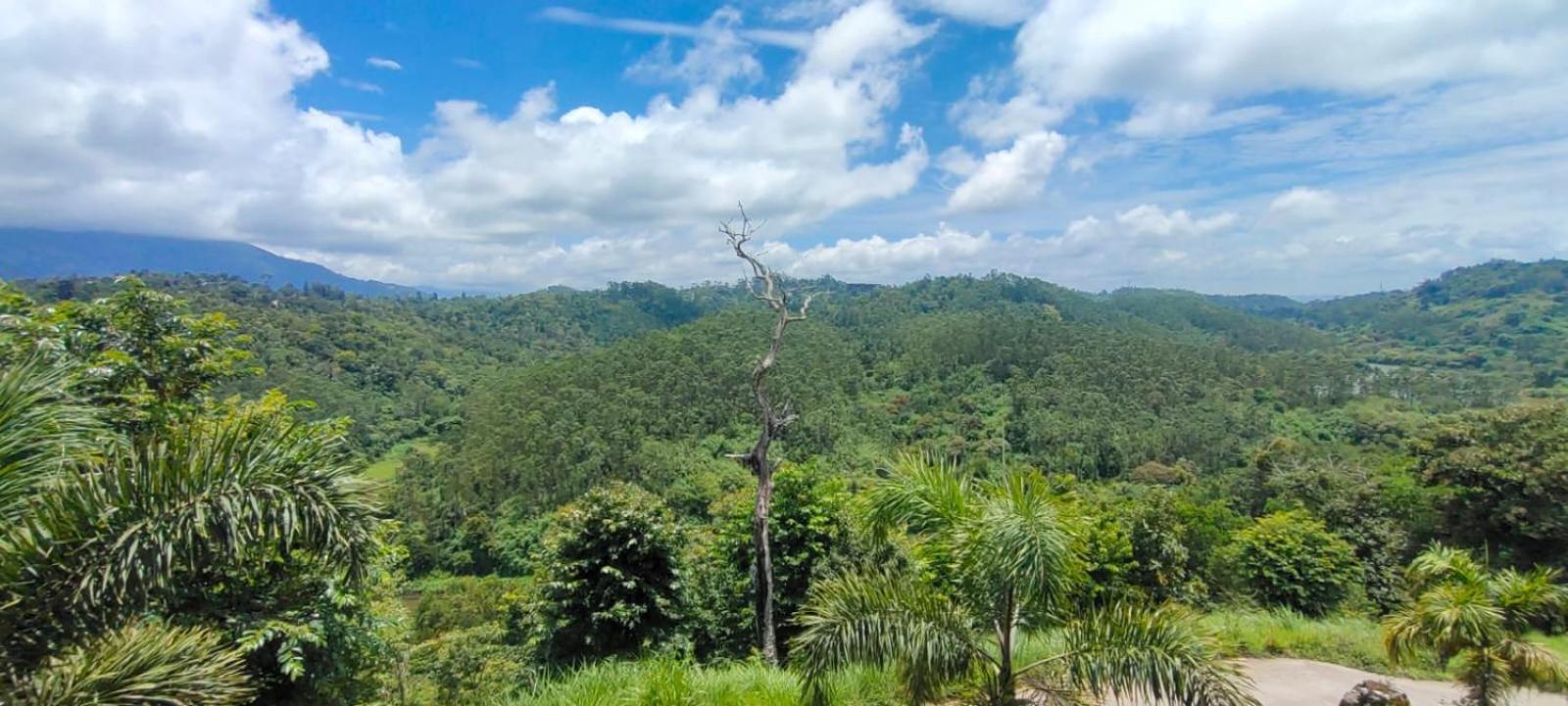 The Lake View Munnar Bagian luar foto